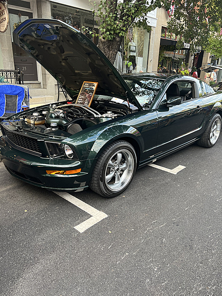2013 Boss 302 Mustang Freak-photo199.jpg