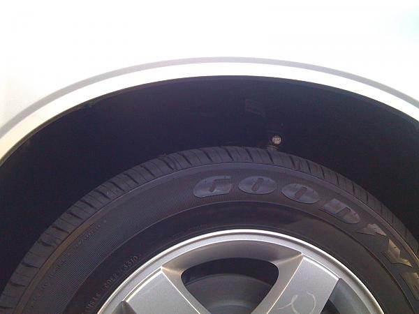 I can't believe I'm considering this.....-picture-009.jpg