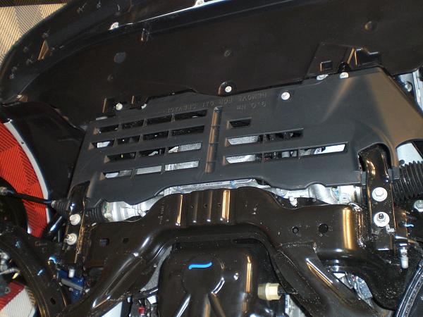 Trackey Update, Build Numbers, Plant News and more-cimg0963.jpg