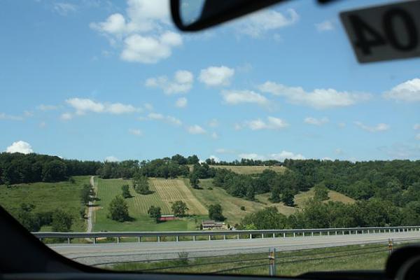 I couldn't wait any longer and ended up buying LS #234-14.jpg