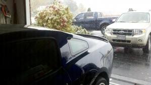 Name:  ForumRunner_20111027_154257.jpg
Views: 216
Size:  21.8 KB