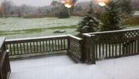 Name:  ForumRunner_20111027_155347.jpg
Views: 183
Size:  21.3 KB