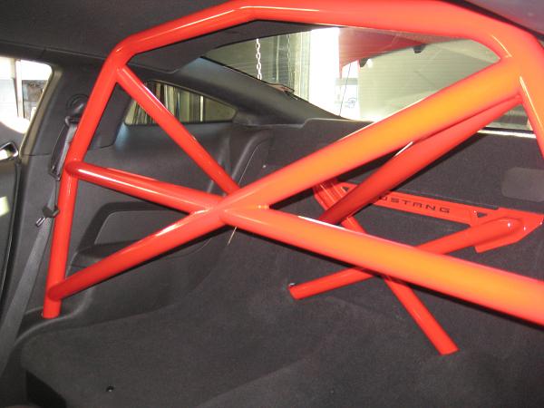 Rollbars - does anyone have one yet?-015-2-.jpg