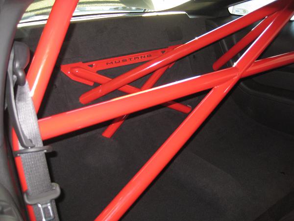 Rollbars - does anyone have one yet?-021.jpg