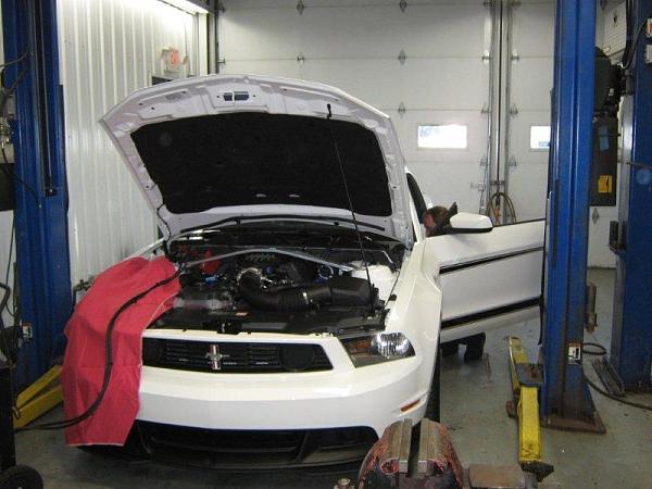 BOSS 228 GETS TRACKEY 11/18/11-boss-trackkey-002.jpg