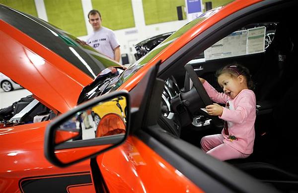 Who's the BOSS.....?-image.jpg