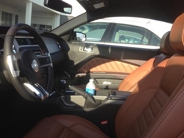 RaceRed GT-image-3409292812.jpg