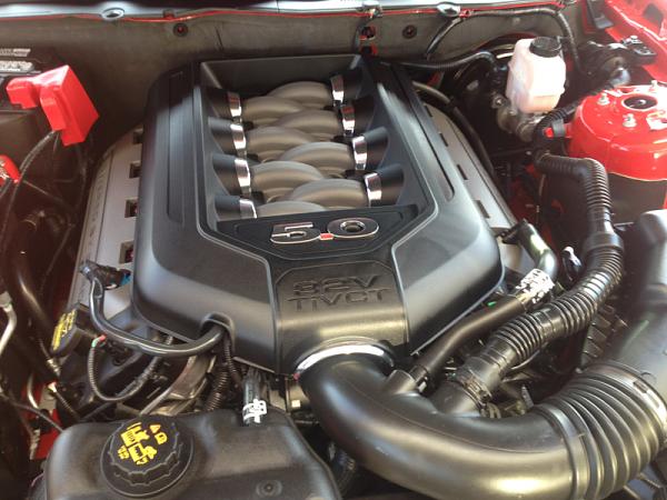 RaceRed GT-image-3042386927.jpg