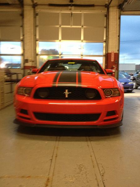 Boss Pictures-image-3387343678.jpg