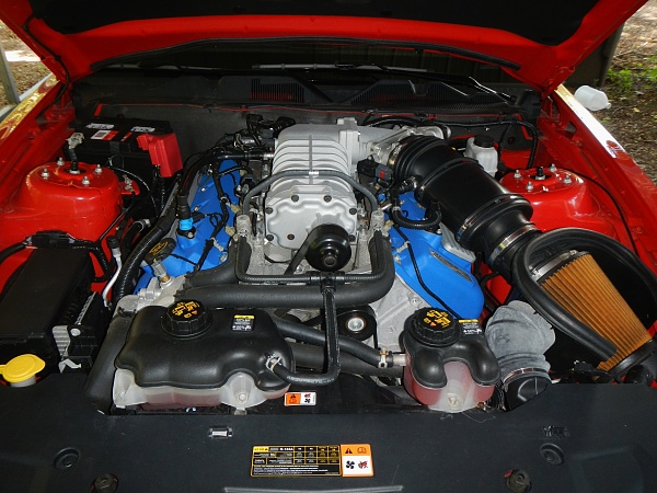 MY race red mustang-gt500-engine.jpg