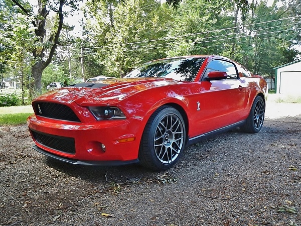 new decals...-shelby-gt500-5.jpg