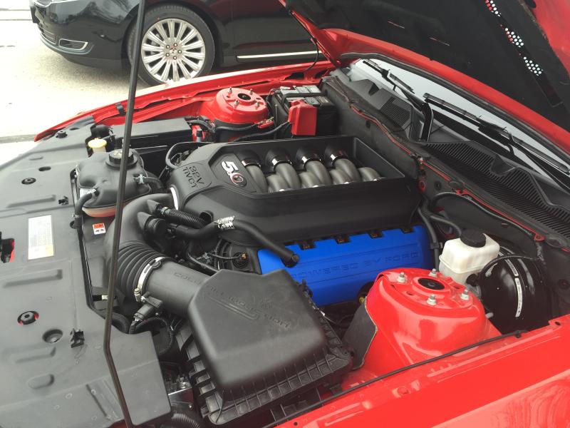 Name:  70382A5F-B5E5-49FF-AC28-608CD84A5BF2_zpsytmiut0y.jpg
Views: 433
Size:  74.7 KB