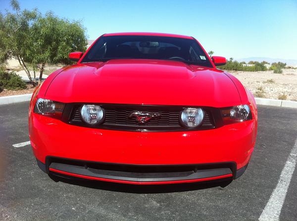 Represent your Race Red in here!!!!!!-mustang_09.jpg