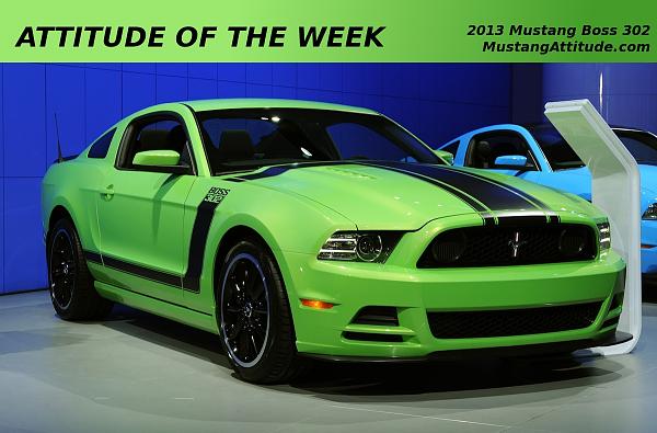 Close up Shots of Gotta Have It Green-2013-boss-302.jpg