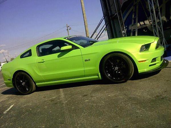 Close up Shots of Gotta Have It Green-429526_10150652185814844_30343354843_9096739_1666498397_n.jpg