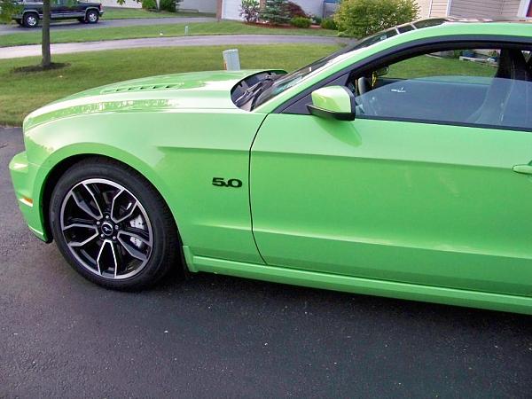 Took Delivery of my "Gotta Have It Green"-100_1306.jpg