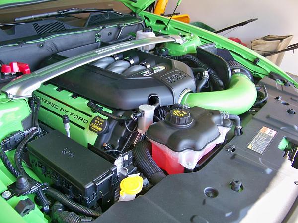 Took Delivery of my "Gotta Have It Green"-100_1343.jpg