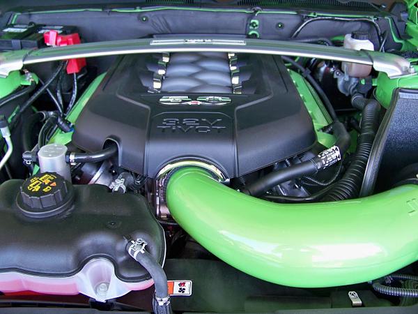 Took Delivery of my "Gotta Have It Green"-100_1344.jpg