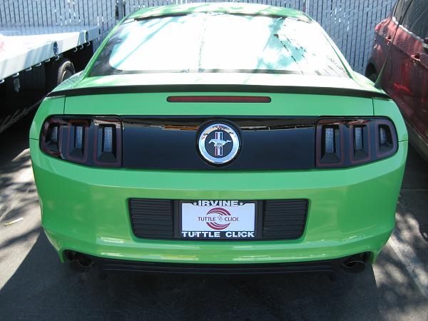 2013 Version of Gotta Have it Green...-img_0251.jpg