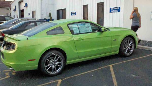 Picked her up last Tuesday-new-stang-1.jpg