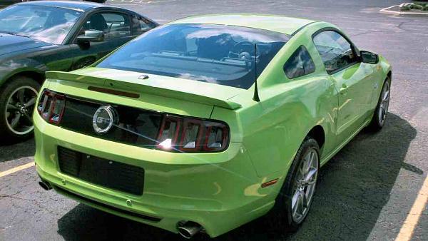 Picked her up last Tuesday-all-better.jpg