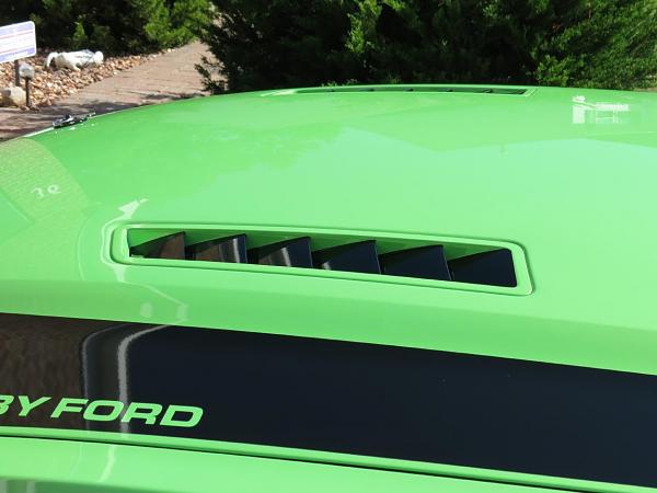 Took Delivery of my "Gotta Have It Green"-img_0067.jpg