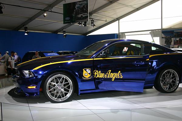 Opinion's on stripes-img_0010.jpg