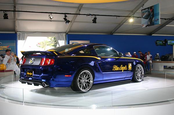 Opinion's on stripes-img_0013.jpg