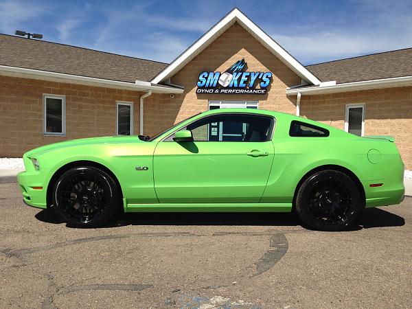 2014 GT GHIG Arrival-photo-12.jpg