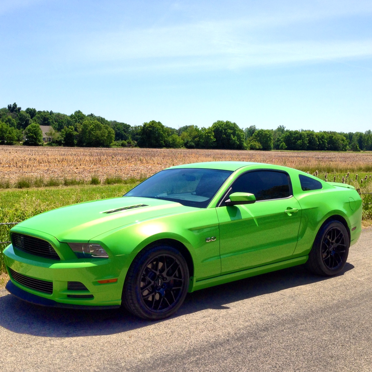 2014 GT GHIG Arrival - Page 3 - The Mustang Source - Ford Mustang Forums