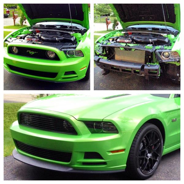 2014 GT GHIG Arrival-photo-8.jpg