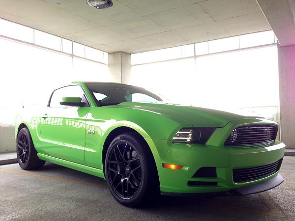 2014 GT GHIG Arrival-photo-2.jpg