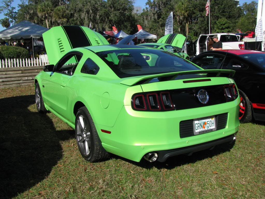 Name:  IMG_8582_zps8ad649b0.jpg
Views: 143
Size:  140.8 KB