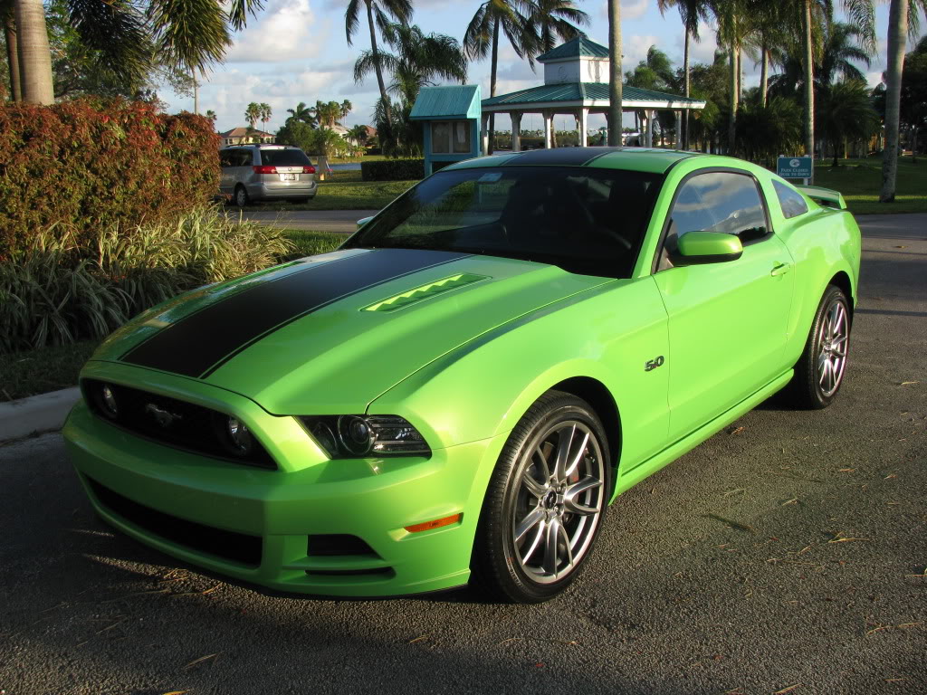 Name:  IMG_8252.jpg
Views: 802
Size:  220.1 KB