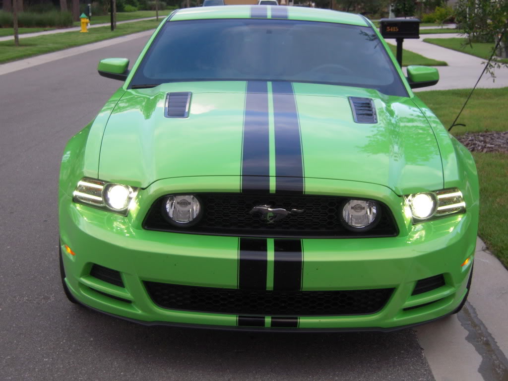 Name:  DSCN1835.jpg
Views: 172
Size:  104.9 KB