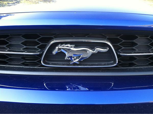 Mustang fever!-image-175217263.jpg
