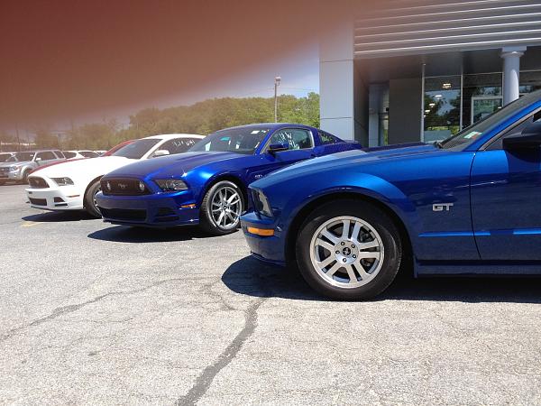 what's the difference between Kona and dib?-photo-may19-1-1600x1200-.jpg