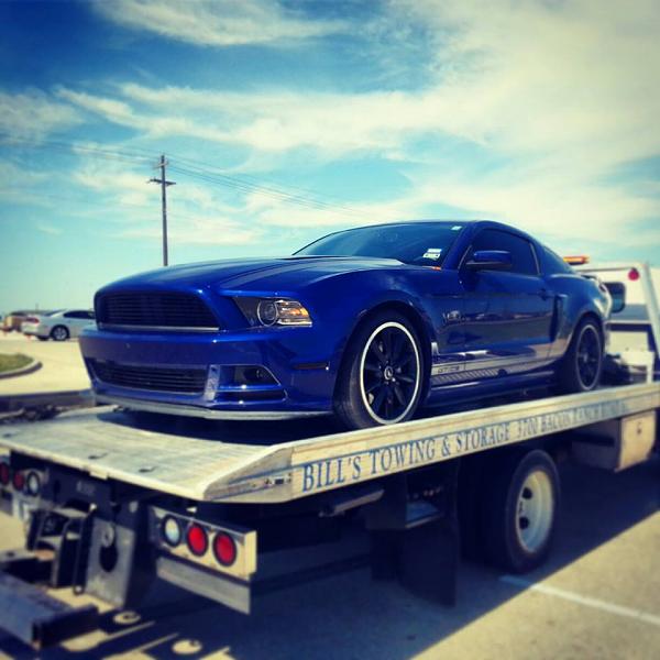 My 13 Deep Impact Blue California Special-936051_10201316468972661_1056987476_n.jpg