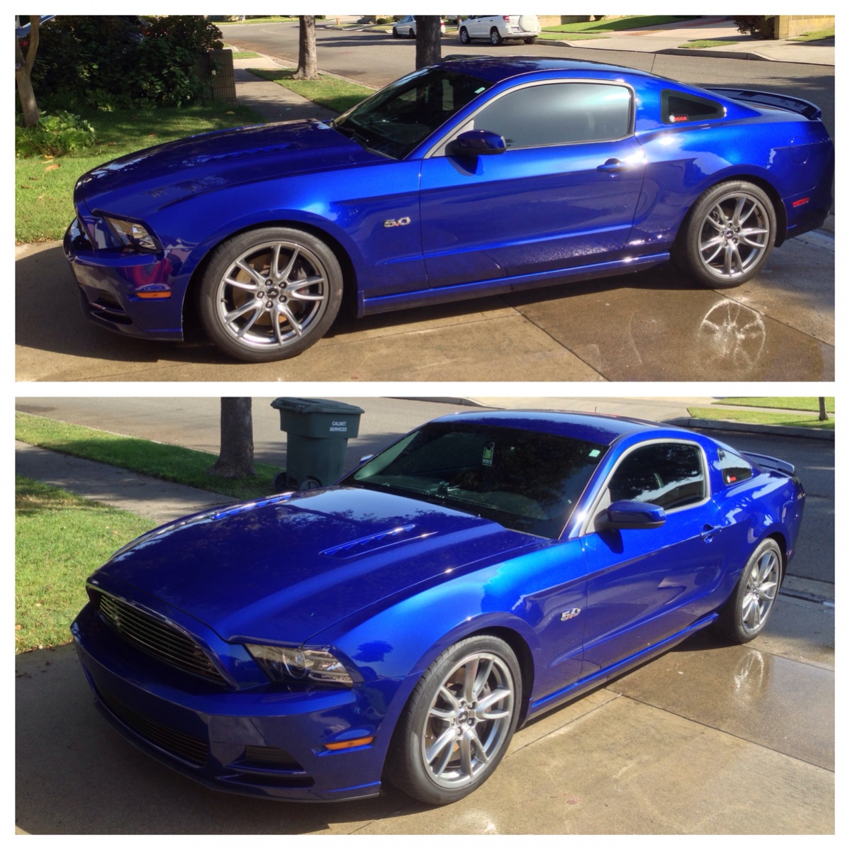 Deep Impact Blue Photos Page 3 The Mustang Source Ford Mustang Forums