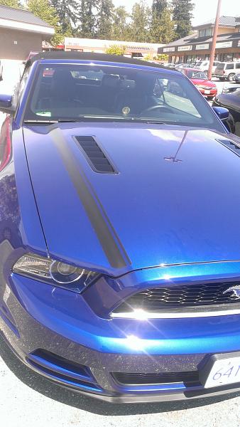 Does your Mustang make you feel rich?-img_1304.jpg