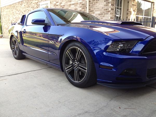 Pro-Kit or Sportline?-image-2697520407.jpg
