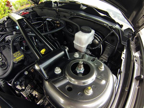 SR Springs/Steed Pro-Action/GT500 Mounts-image-2313619633.jpg