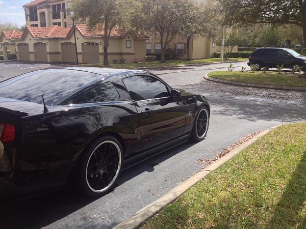 Calling all folks with BMR springs!!-image-3417864280.jpg