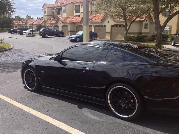Calling all folks with BMR springs!!-image-4109125978.jpg