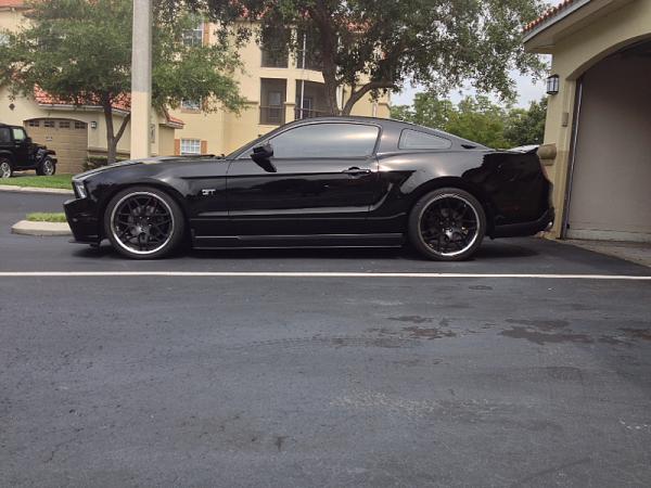 Calling all folks with BMR springs!!-image-2137019481.jpg