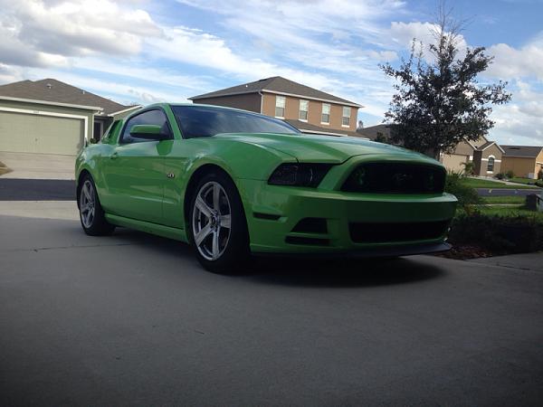 Calling all folks with BMR springs!!-image-1470654965.jpg