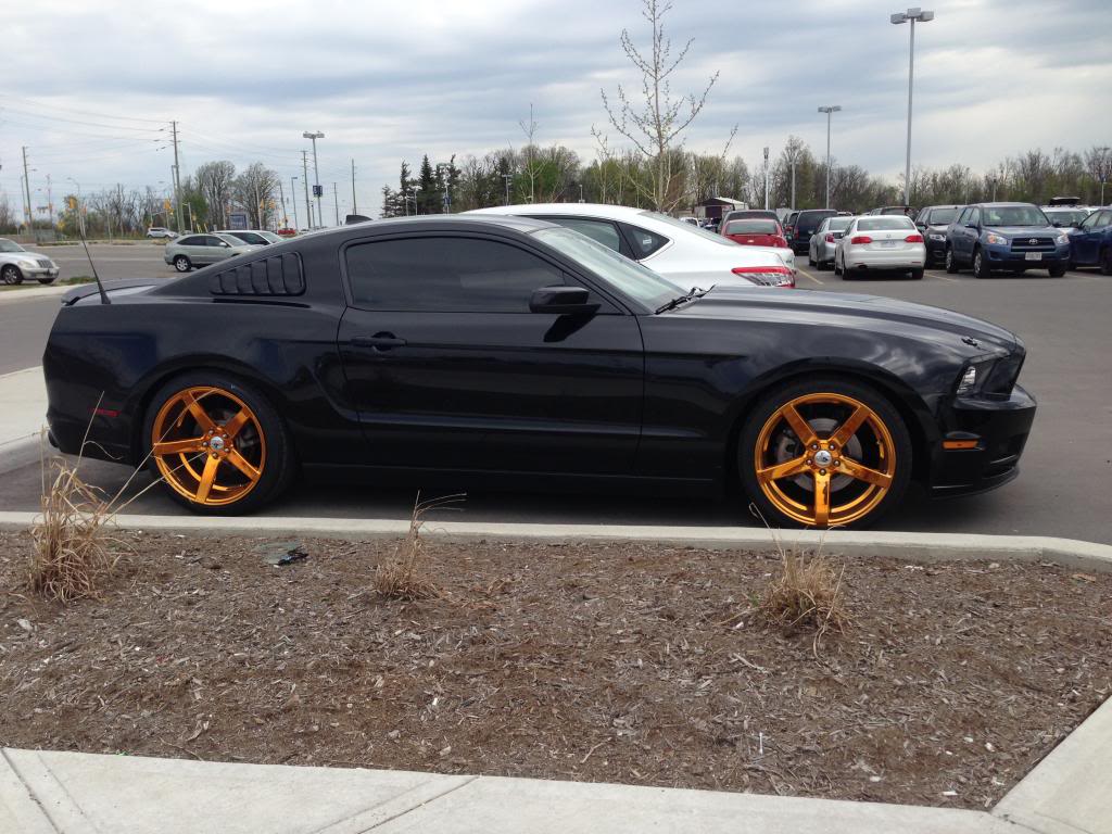 Name:  C07249CE-5439-4721-9FEB-9CB8AB36C27E_zpstfywnitk.jpg
Views: 589
Size:  128.1 KB