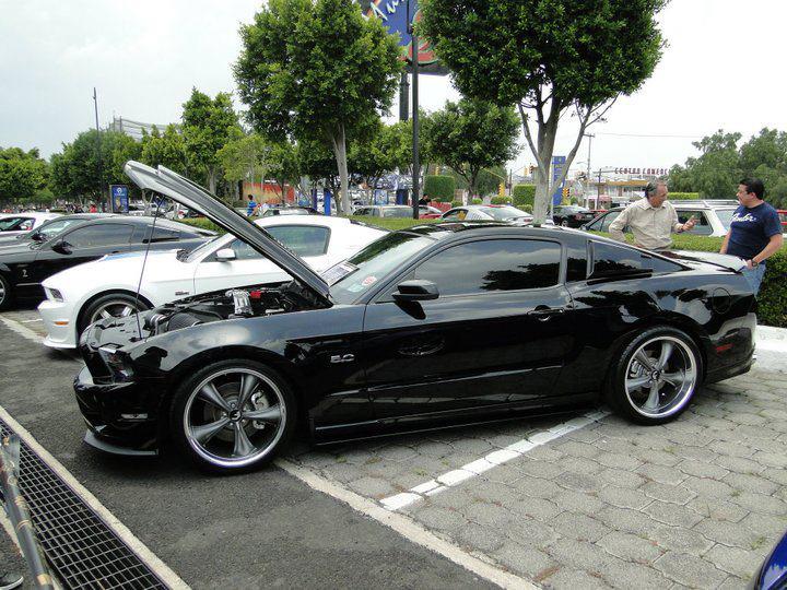 Name:  Black2011.jpg
Views: 9366
Size:  93.7 KB