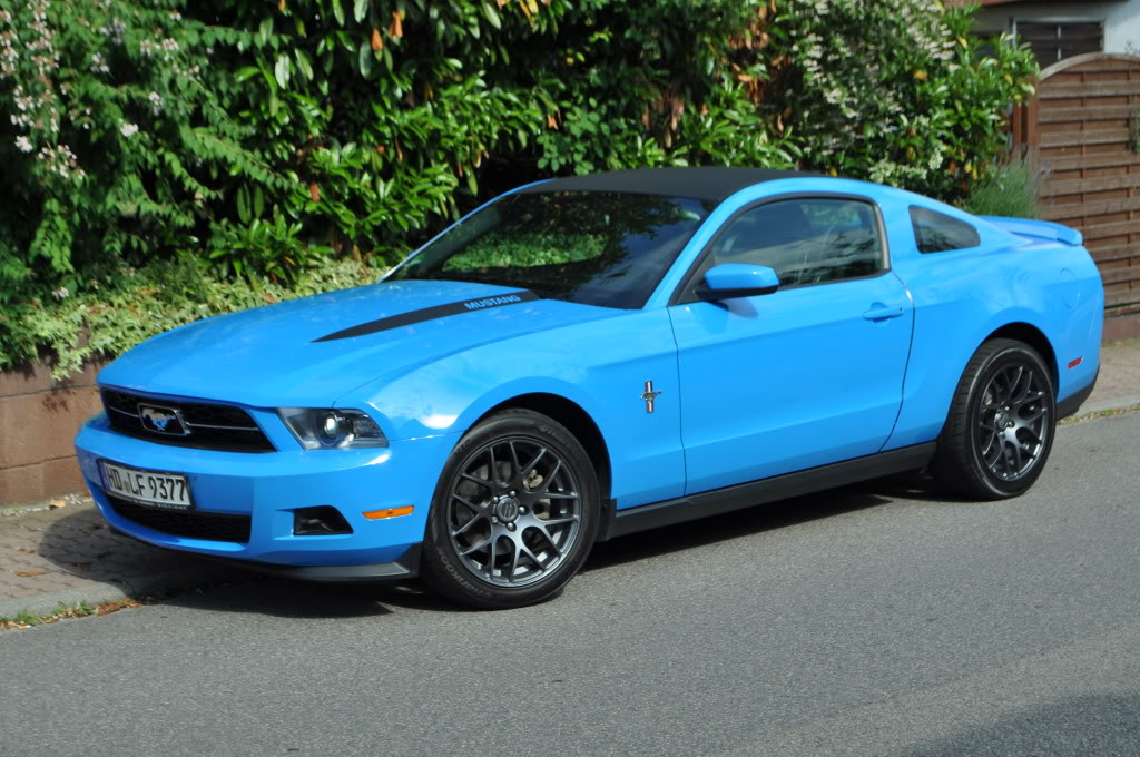 Name:  DSC_0303.jpg
Views: 58
Size:  156.8 KB