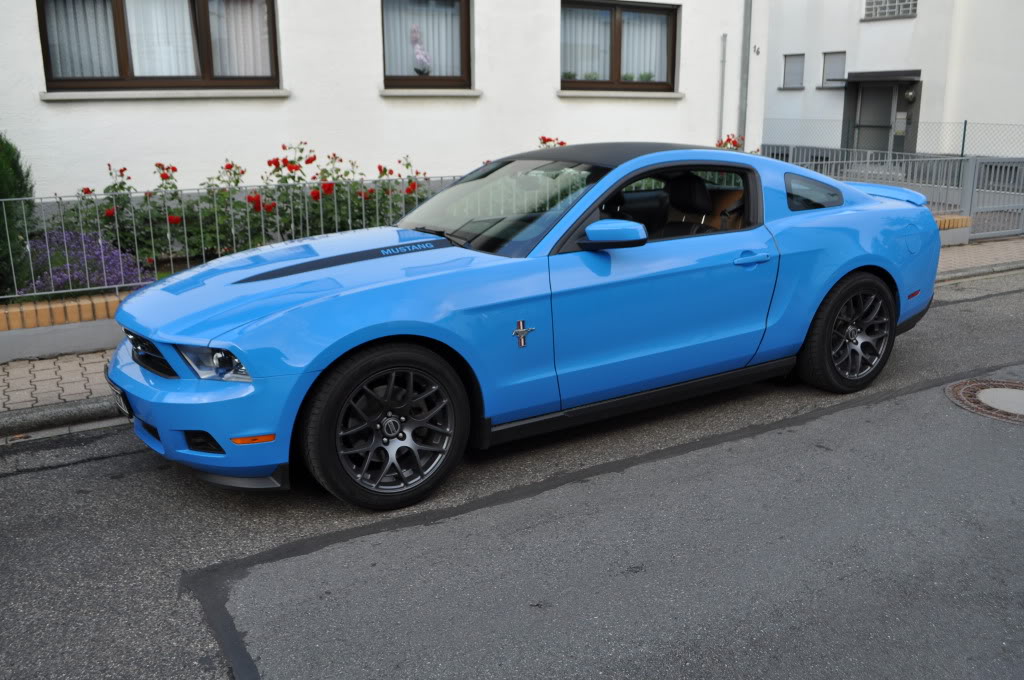 Name:  DSC_0332.jpg
Views: 70
Size:  136.2 KB